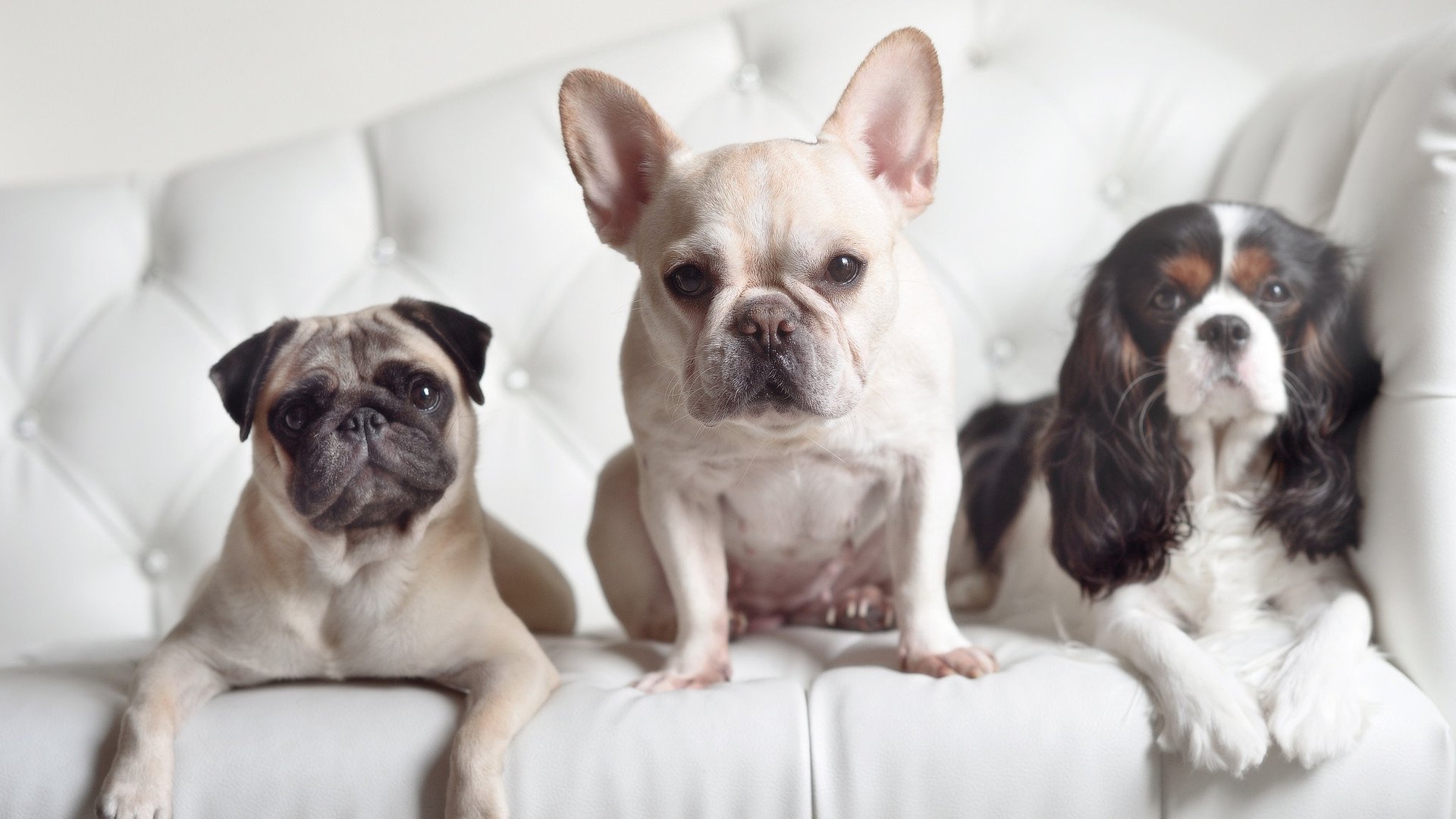 【比赛节奏优化】数据支持的“快节奏”战术应用对比,快节奏高效率