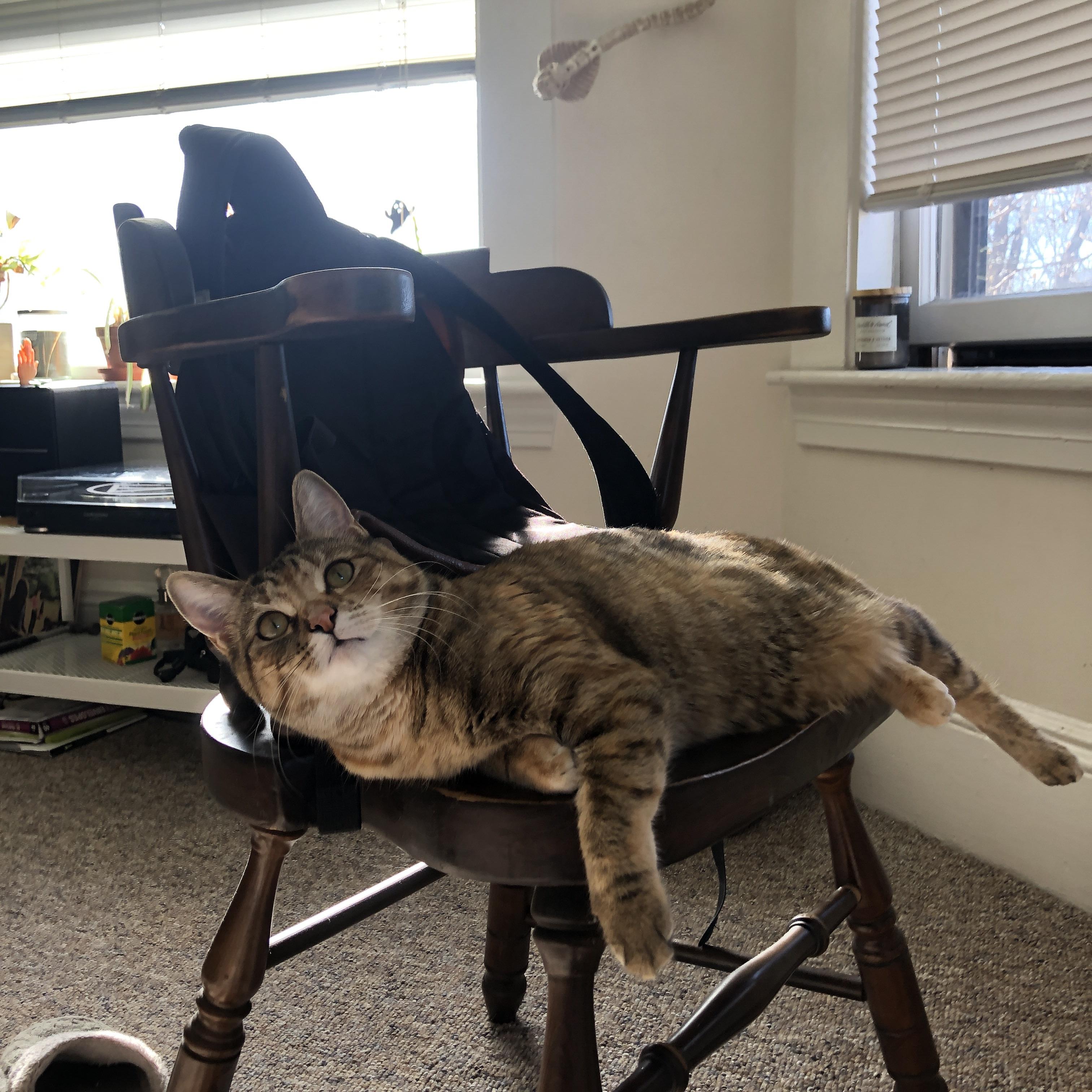 中国男足在巴黎奥运会上获得银牌,创历史,中国男足奥运冠军