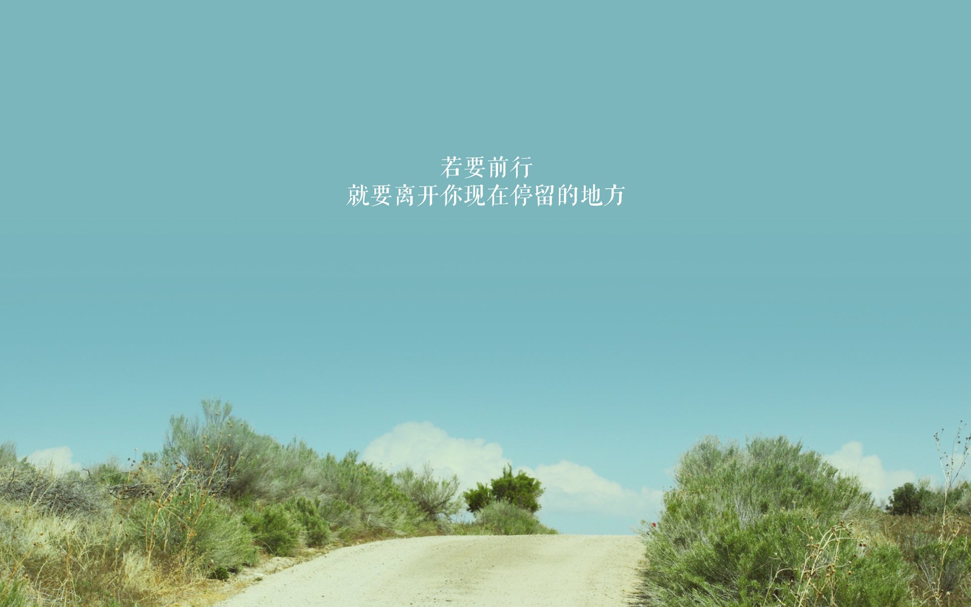 国际高山滑雪大奖赛,雪域高原的速度传奇,高山滑雪全国锦标赛