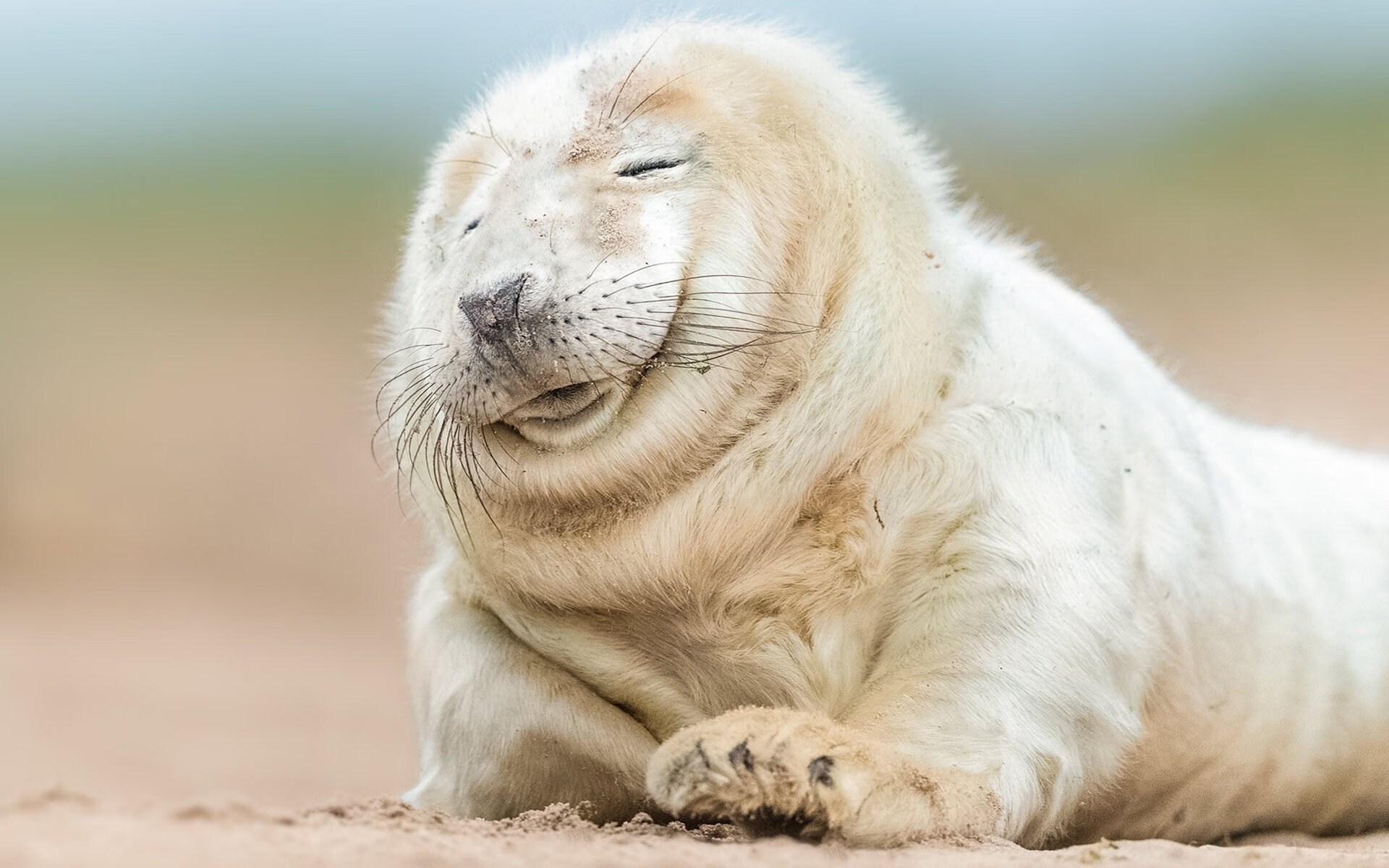 意甲赛场看到的最精彩过人技巧，意甲精彩进球集锦