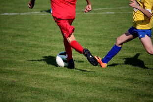 开云体育开云-中小学篮球教研活动不断创新教学方法提升训练效果，篮球教研活动总结